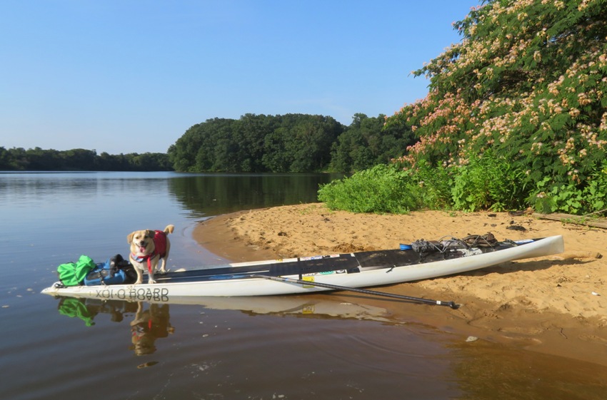 Daphne on SUP at beach