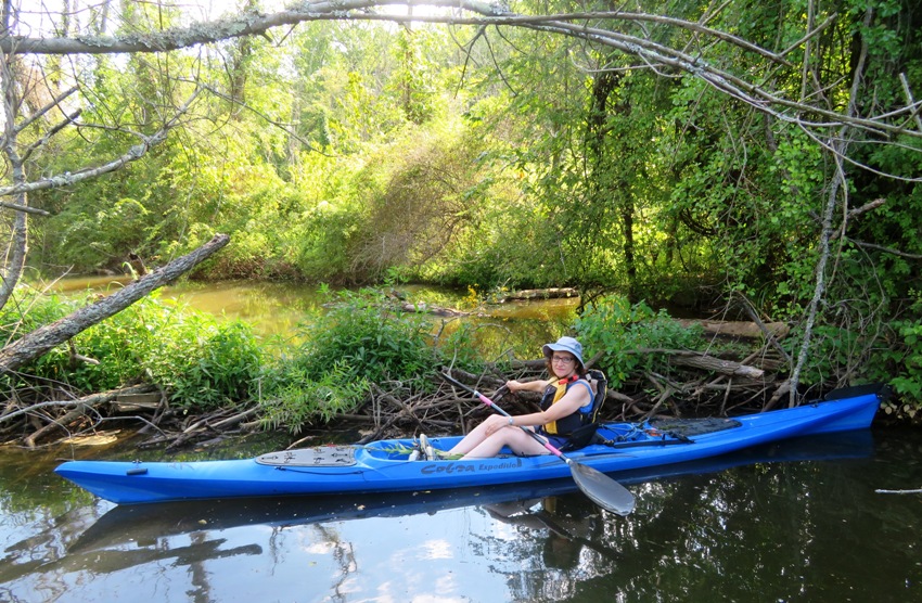 Norma on kayak in front of beaver dam