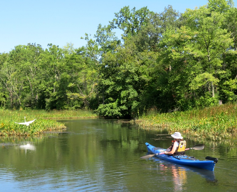 Norma looking at great egret taking flight