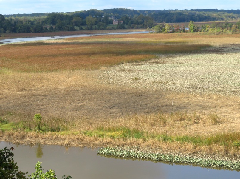 High view looking upstream