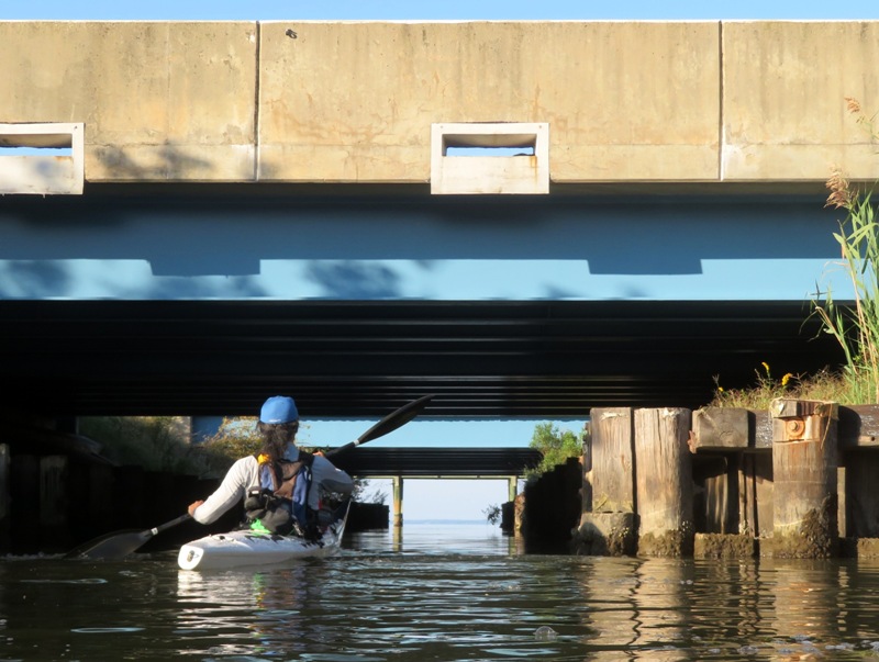 Me kayaking under highway 50