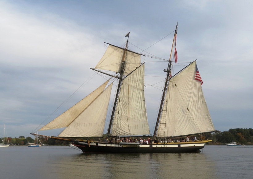 Portside view of Lynx