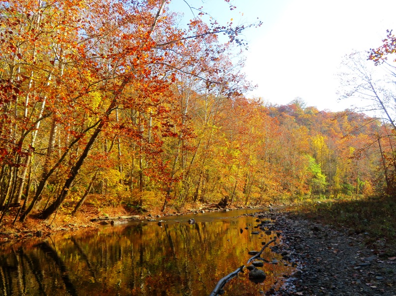 Autumn colors by the Patapsco River