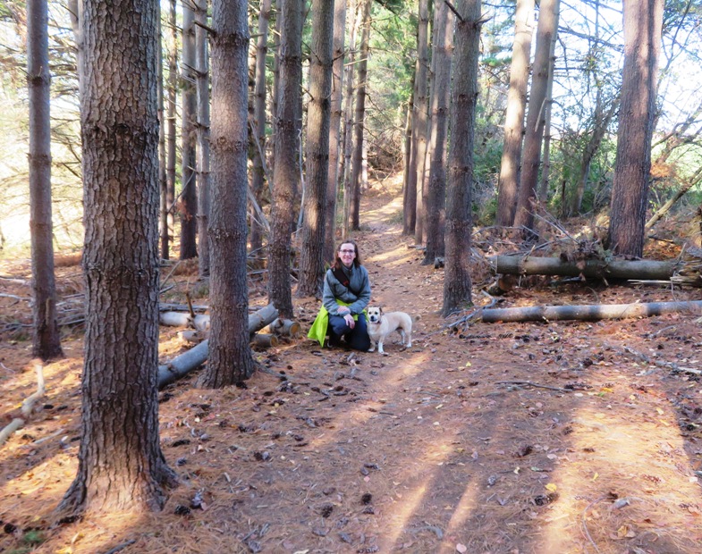 Norma and Daphne in pine forest