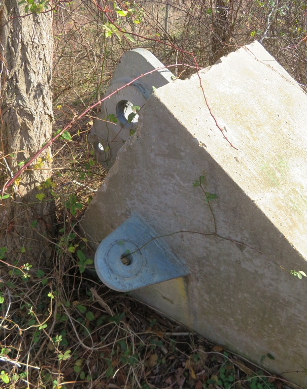 Concrete structure with metal loops attached