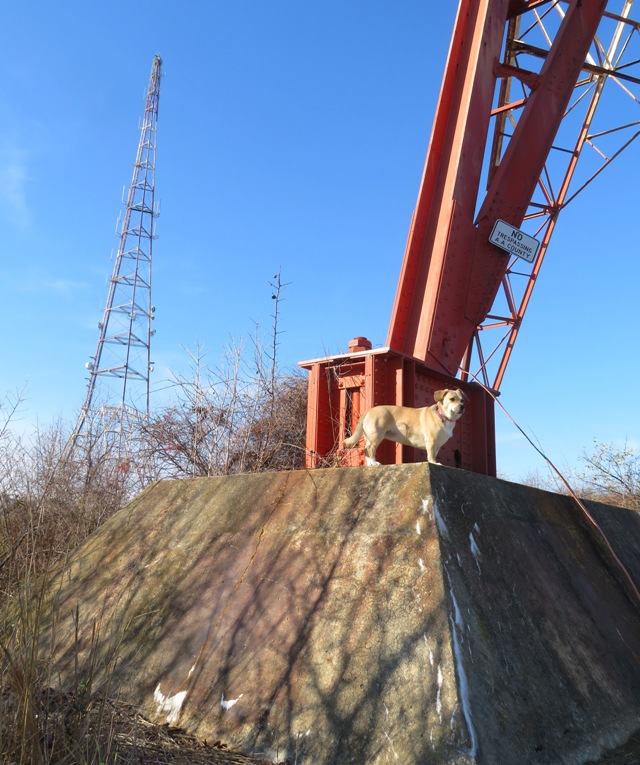 Daphne standing on tower foundation with another tower behind