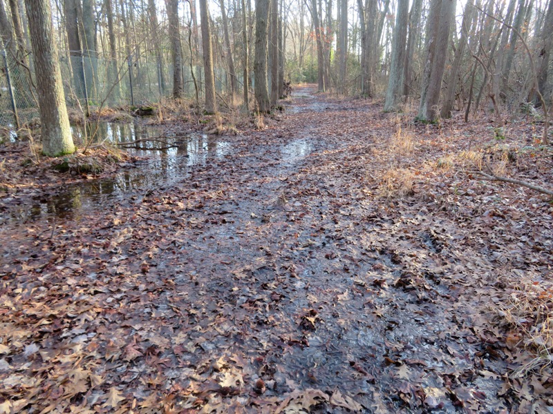 Flooded section of trail