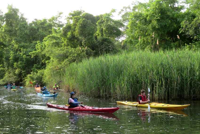 Kayakers on a narrow part of Bullneck Creek