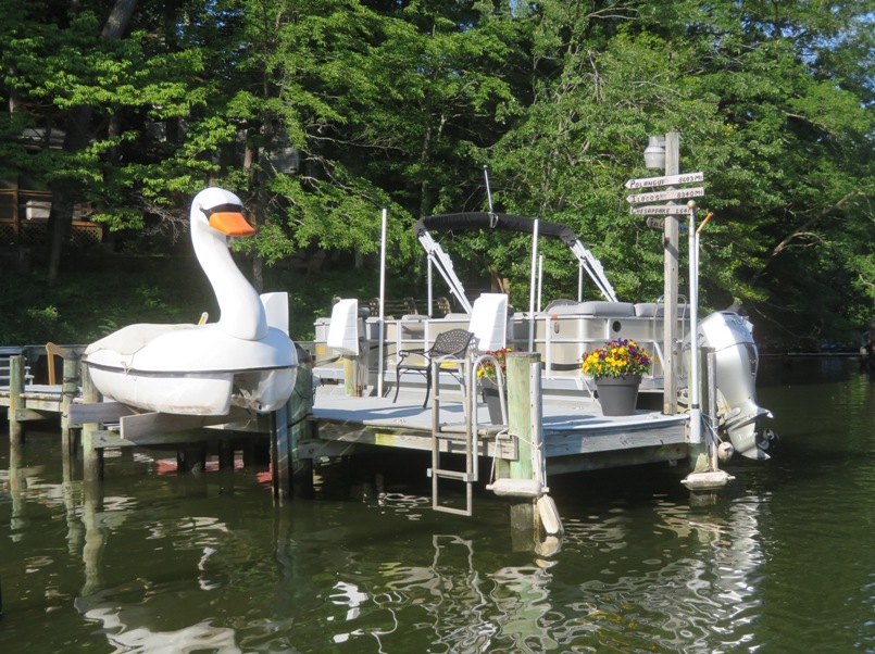 A boat disguised as a mute swan