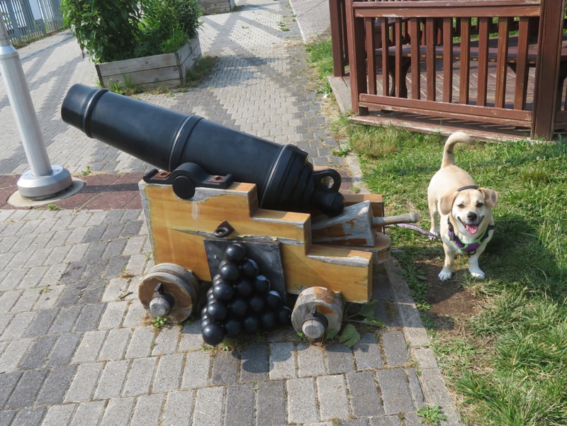 Daphne standing next to miniature cannon