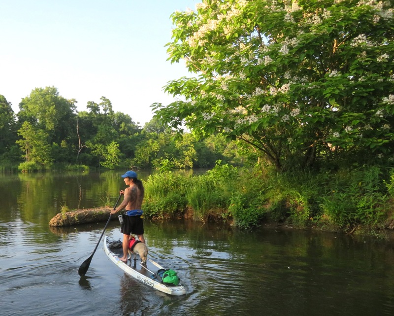 Daphne and me on SUP surrounded by greenery