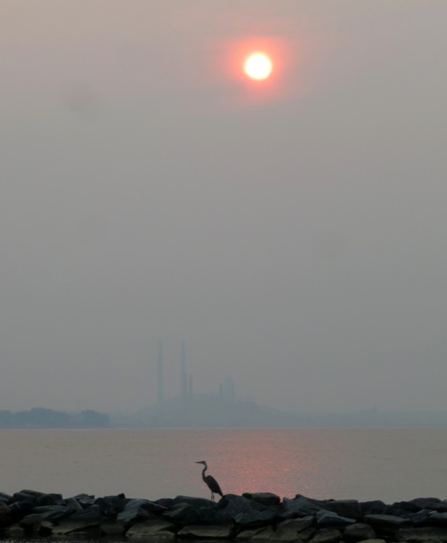 Great blue heron, generating station, and orange sun