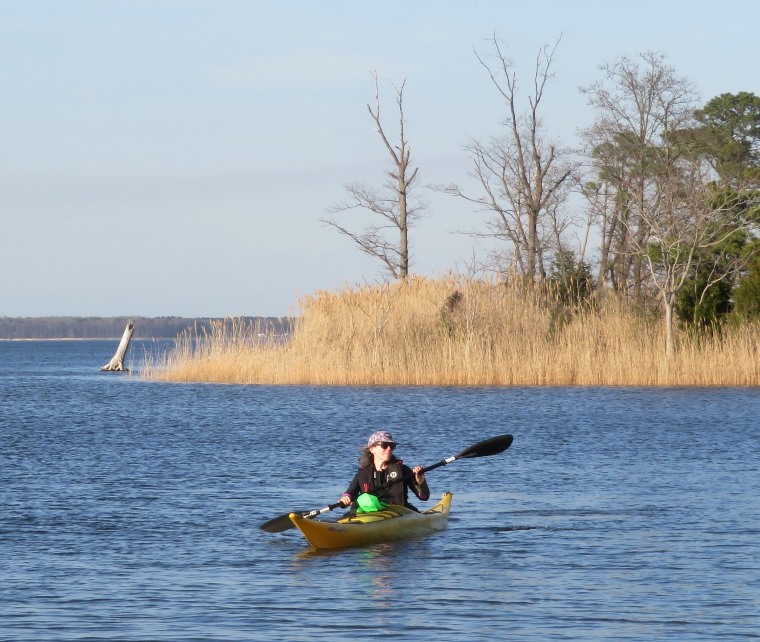 Sara kayaking on Winchester Creek