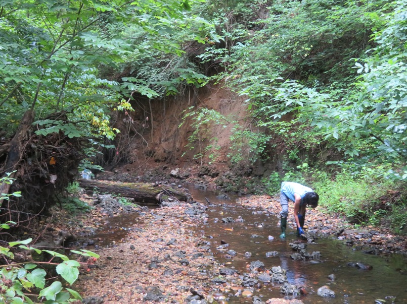 Doris in the creek looking for fossils