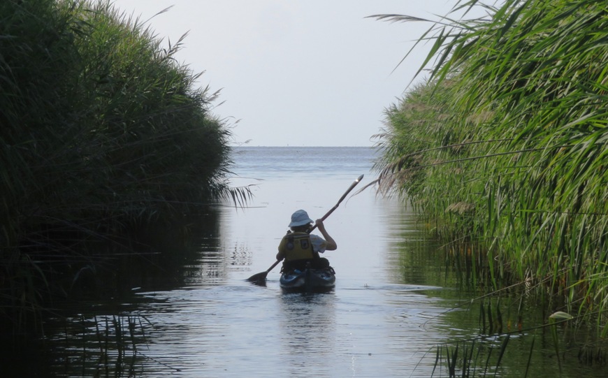 Norma kayaking in Black Marsh with the Chesapeake Bay in front of her