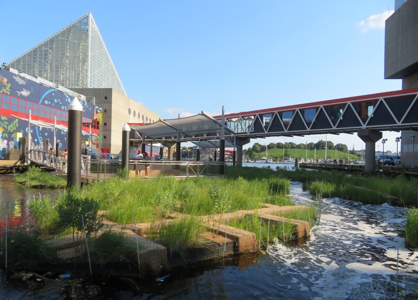 Floating wetlands with National Aquarium pyramid behind