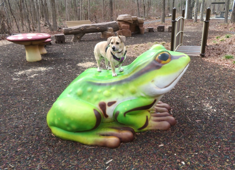 Daphne standing on a giant fake frog