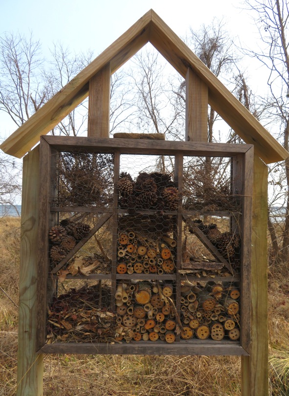 Several mason bee homes in stand