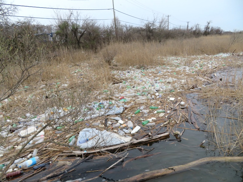 Shore covered with trash, mostly plastic bottles