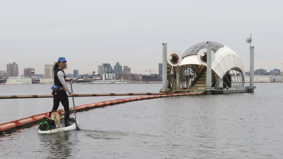 Daphne and I on SUP near Captain Trash Wheel with Baltimore City skyline in the background