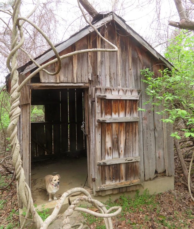 Daphne to entrance of abandoned building structure