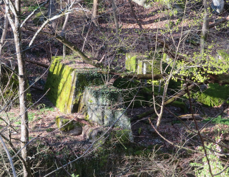 Concrete foundation of Bonnie Branch Mill