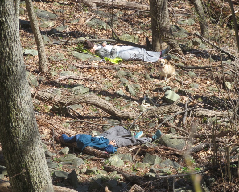 Norma and Carmen taking a post-lunch nap with Daphne watching over them