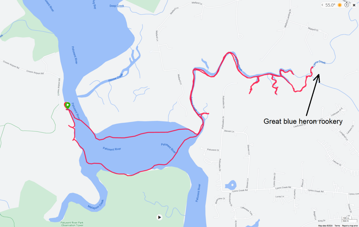 Map of my route with the location of the rookery marked