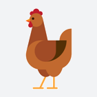 Chicken icon