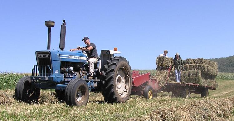 Me helping make hay on a farm